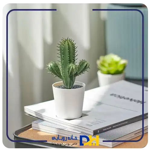 بوته کاکتوس ایکیا FEJKA