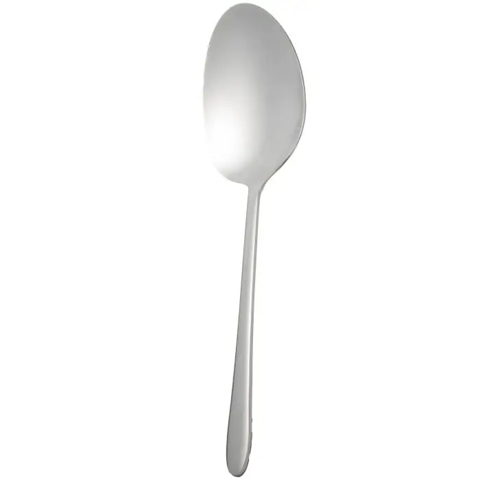 کفگیر تک بزرگ استیل جین DF008 MGS