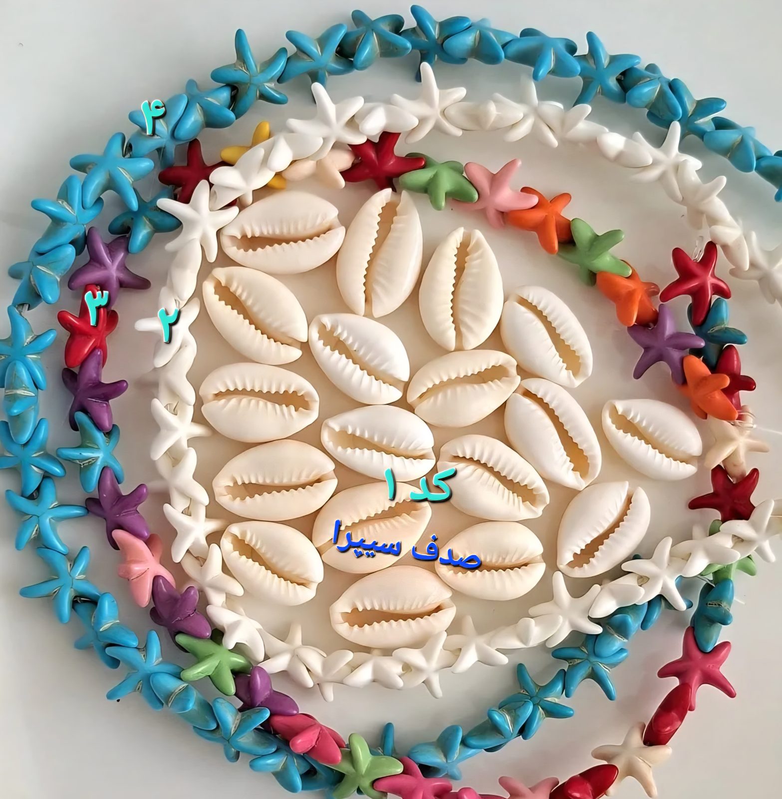 صدف طبیعی سیپرا