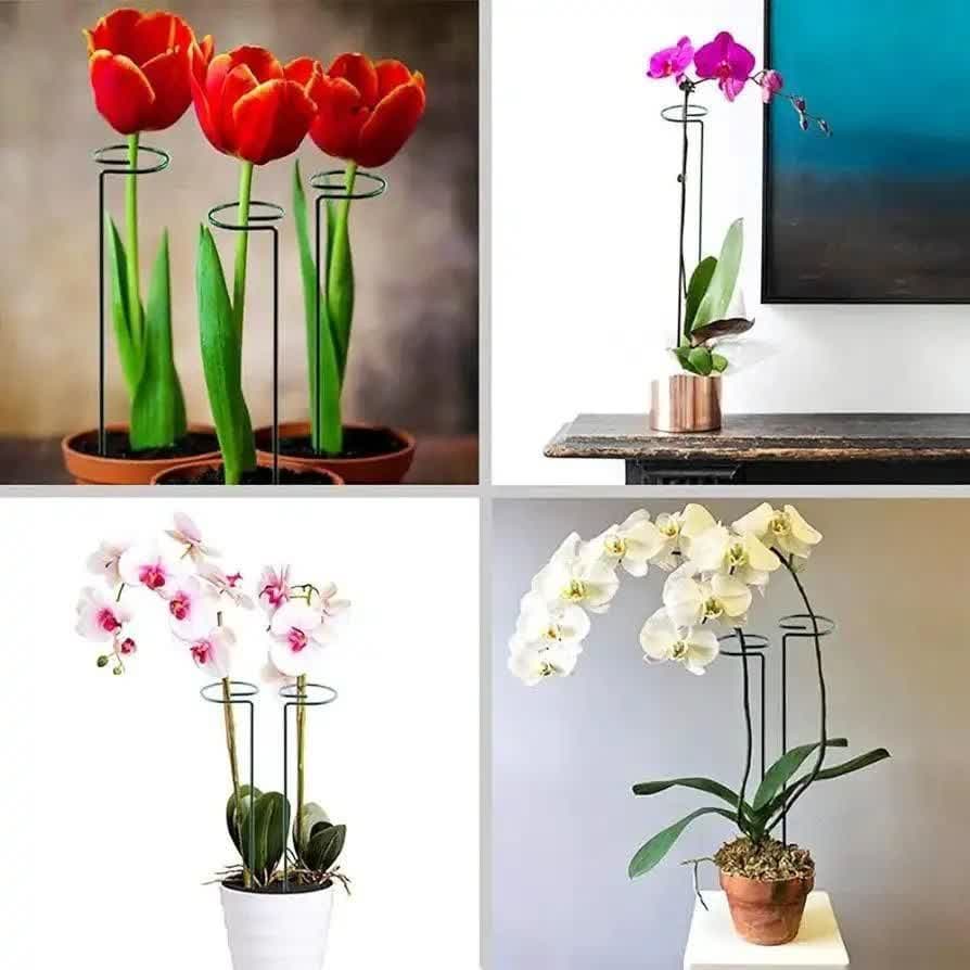 پایه نگهدارنده گل
