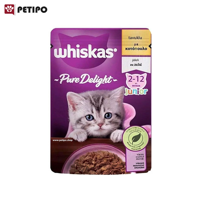 غذای پوچ بچه گربه با طعم مرغ ویسکاس (Whiskas Junior Pure Delight with Chicken In Jelly) وزن 85 گرم