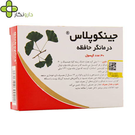 جینکوپلاس بهار پایا