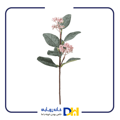 شاخه گل آفریقایی ایکیا SMYCKA