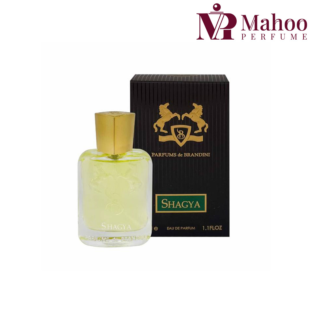 عطر مارلی شاگیا برندینی مردانه 33 میل | Brandini Parfums de Marly Shagya