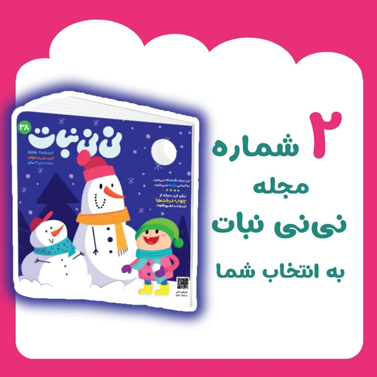 بسته 2 جلدی نی نی نبات