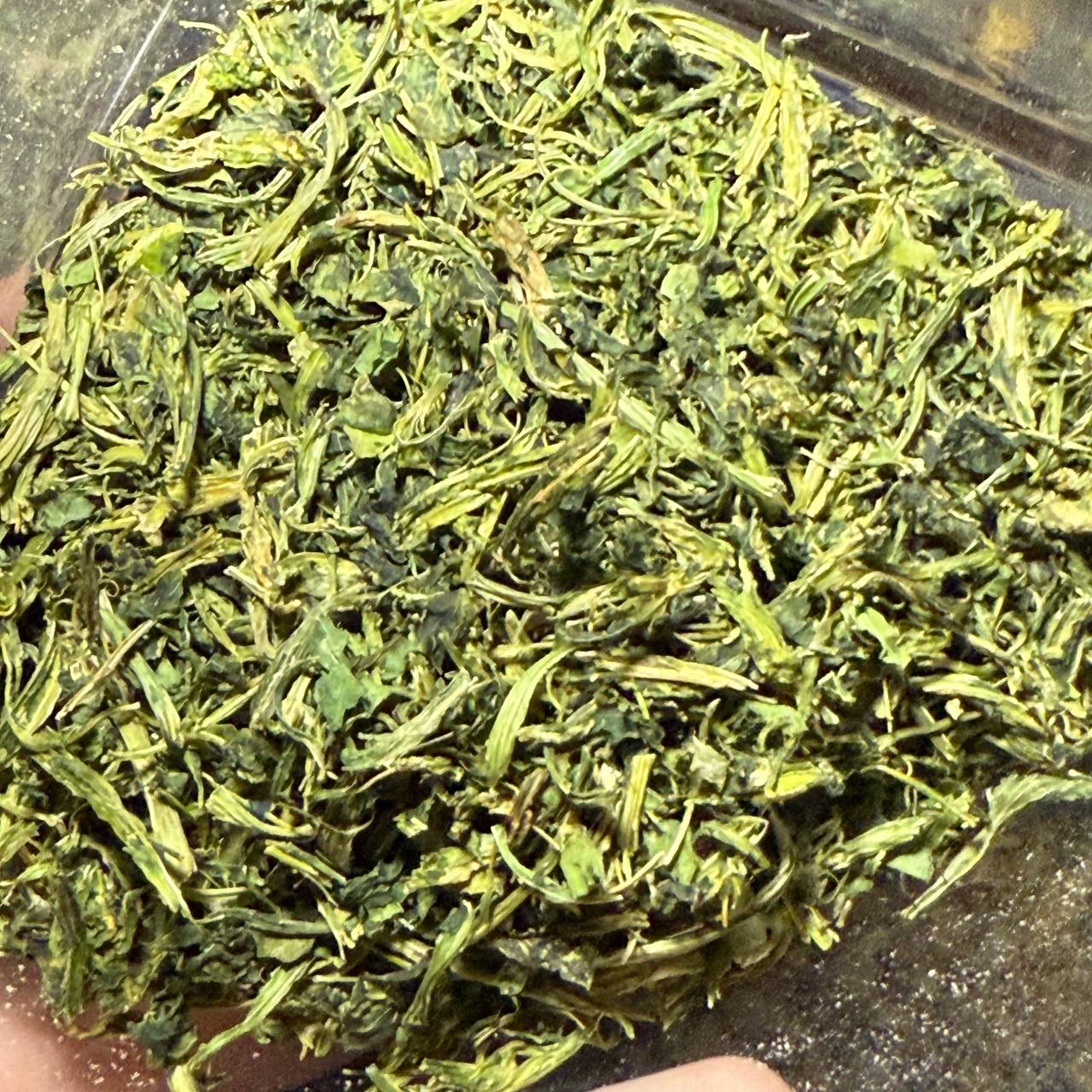 کرفس خشک