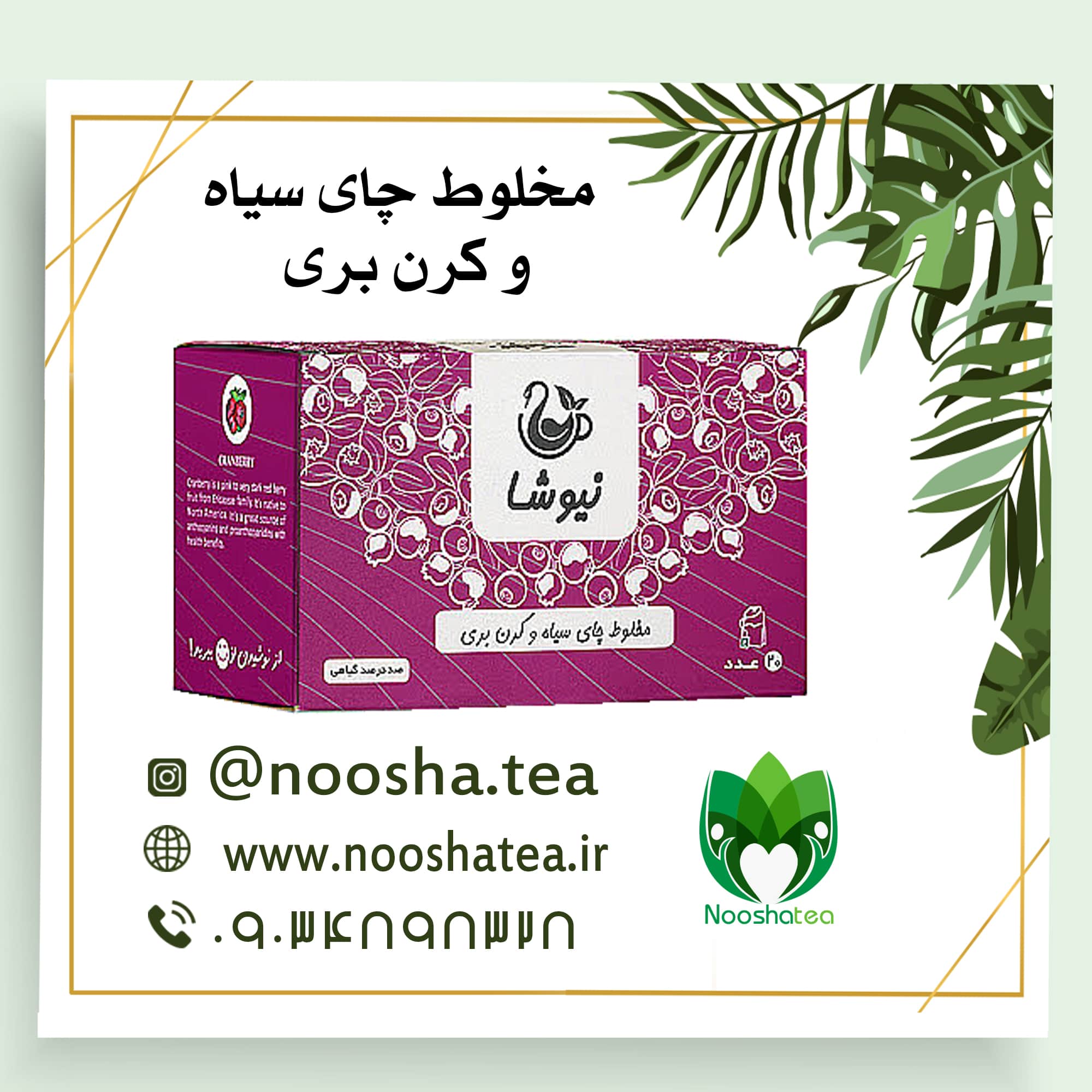 دمنوش چای سیاه و کرن بری نیوشا | چای کیسه ای 20 عددی+خواص کرن بری نیوشا