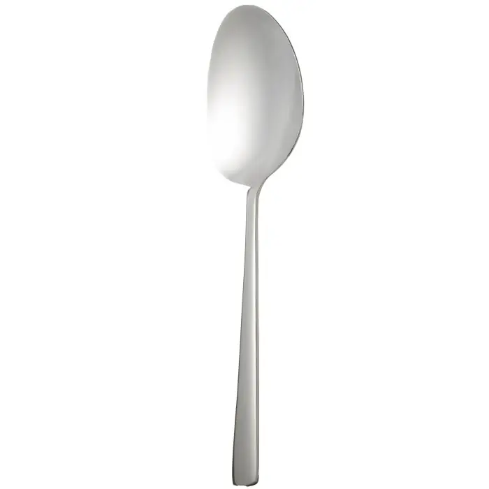 کفگیر تک بزرگ استیل جین DF043 MGS