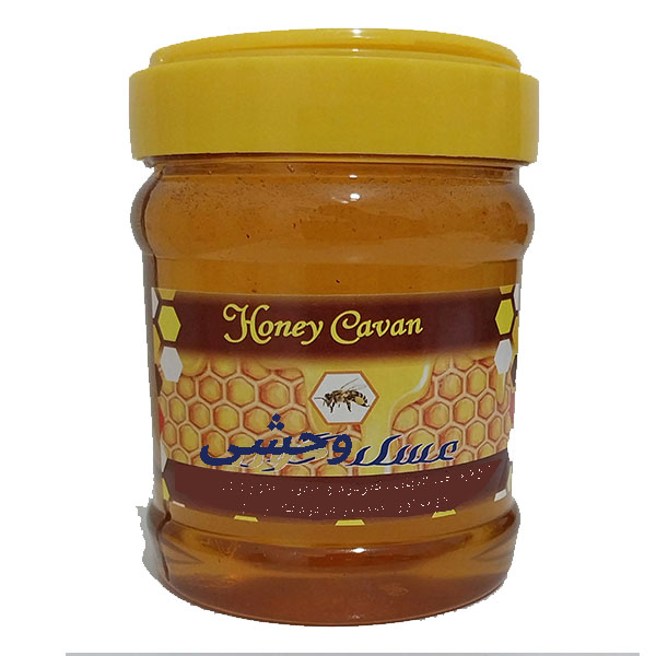 عسل طبیعی نیم کیلویی وحشی ( دامغان )