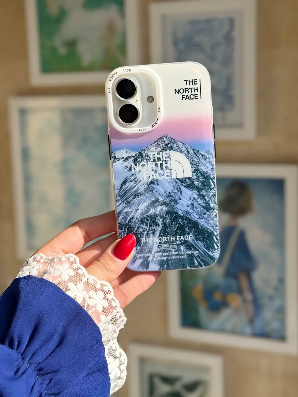 قاب The North Face : Alpine Mood (کدC2184)