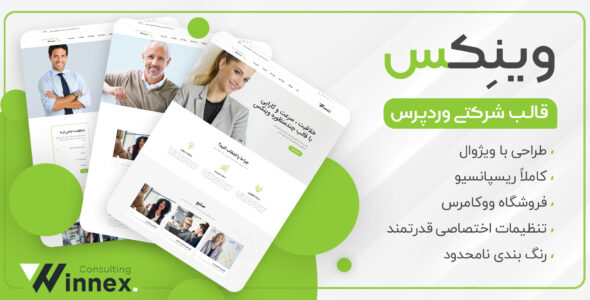 قالب Winnex، قالب شرکتی وینکس
