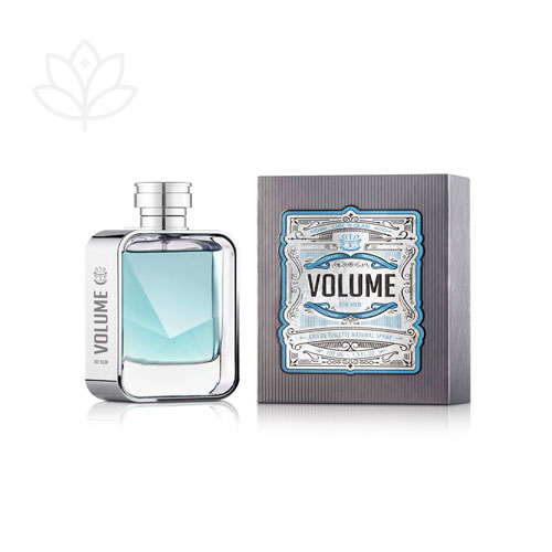 ادوپرفیوم مردانه چیکن گلم مدل Men Silver Volume حجم 100 میلی