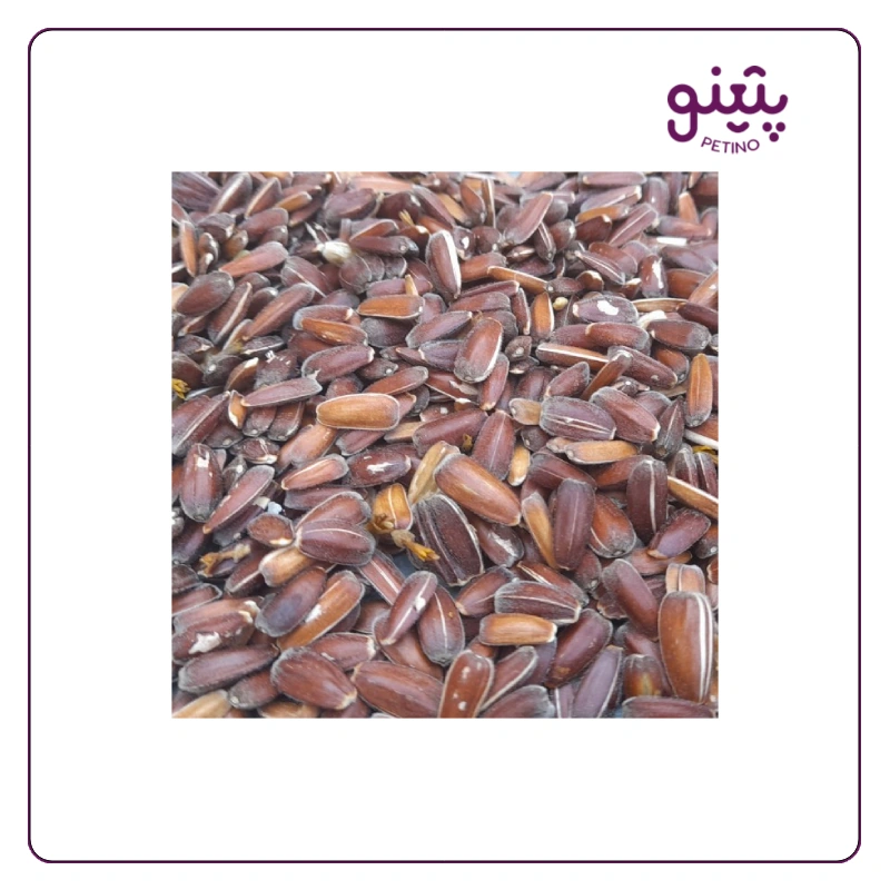 تخمه قرمز خام فله ای