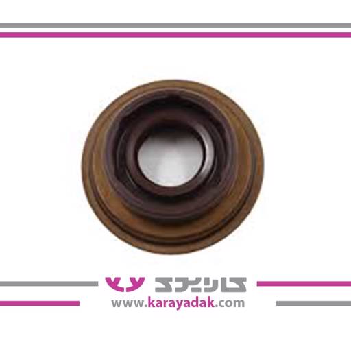 کاسه نمد ماهک (تعویض) دنده پژو405ویژن