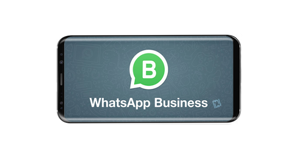 نرم افزار موبایل واتساپ بیزنس