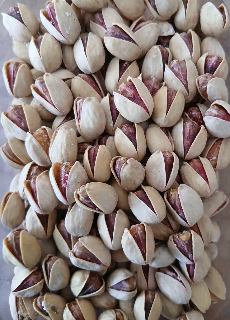 پسته کله قوچی نمکی