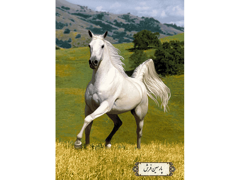 خرید نخ و نقشه تابلو فرش دستبافت اسب سفید- کد NH3521