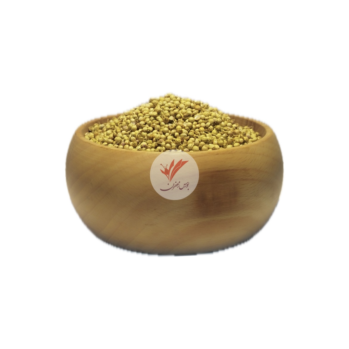 تخم گشنیز
