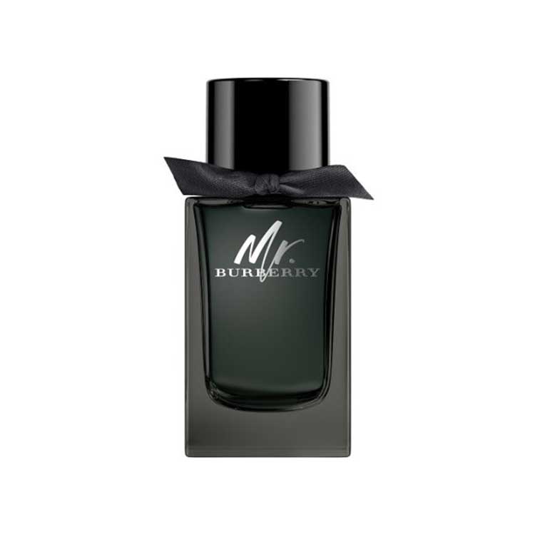عطر بربری مستر بربری ادو پرفیوم مردانه