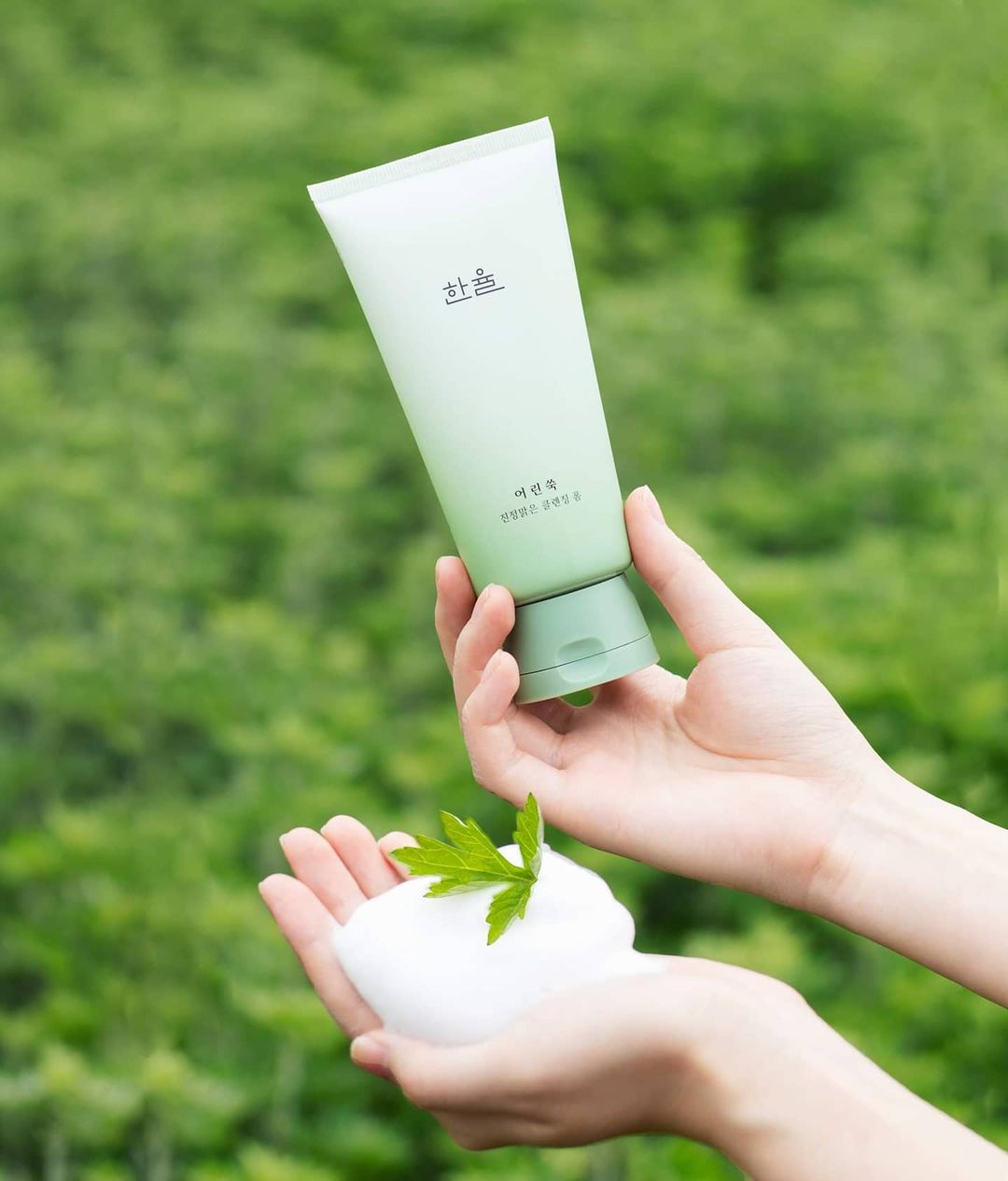 فوم ارتمیسیا هانیول<br>Hanyul Pure Artemisia Mild Cleansing Foam