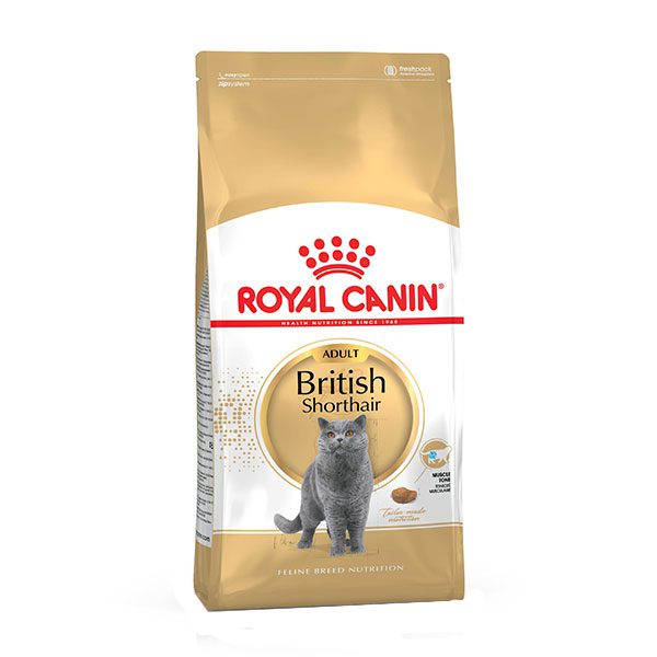 غذا خشک گربه رویال کنین مدل British Shorthair