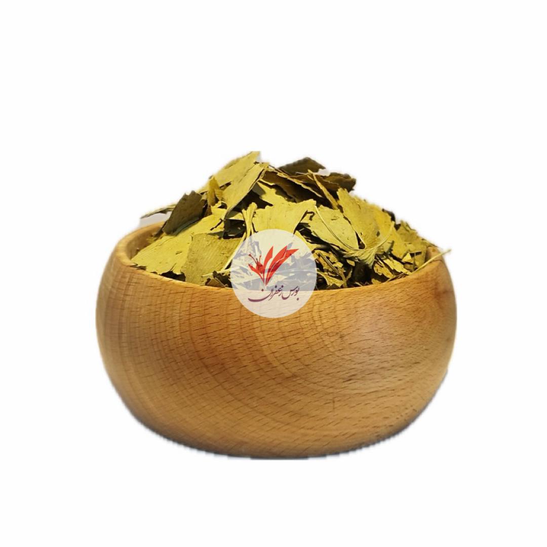 برگ جینکوبیلوبا اصلی (ginkgo)