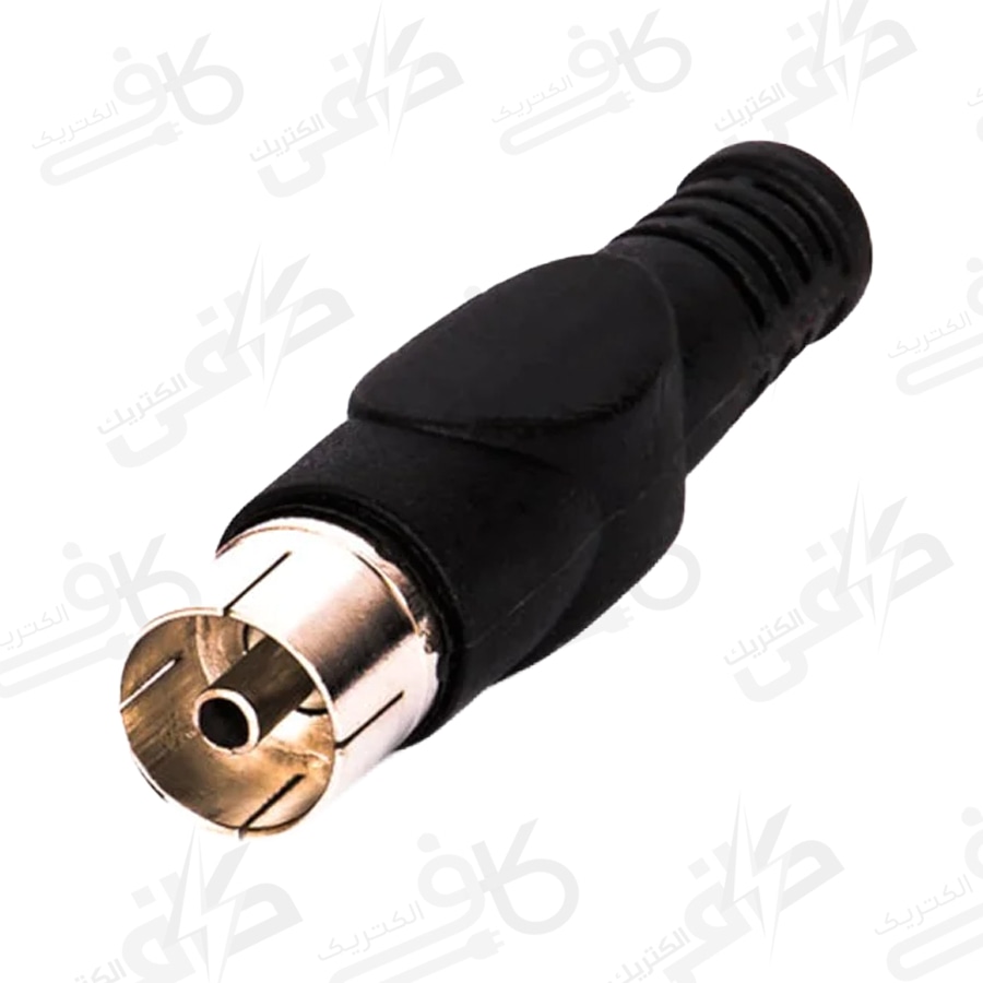 فيش آنتن مادگی