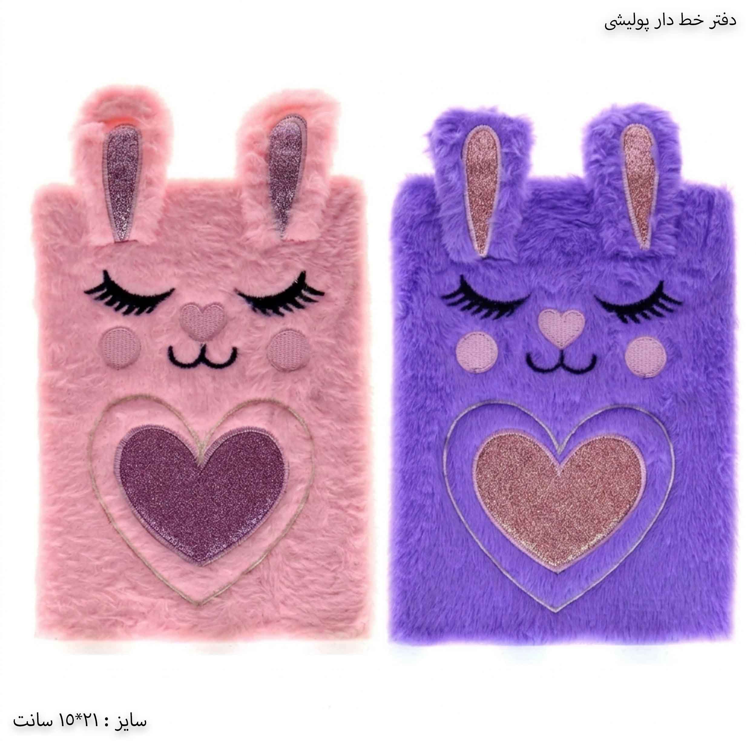 دفتر خط دار پولیشی