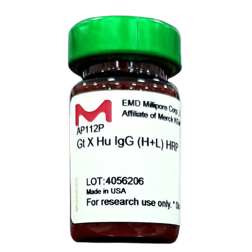 آنتی بادی ثانویه بز علیه IgG انسانی سیگما AP112P