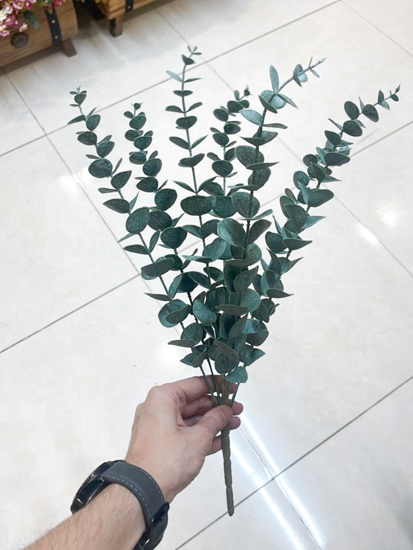 گل اکالیپتوس