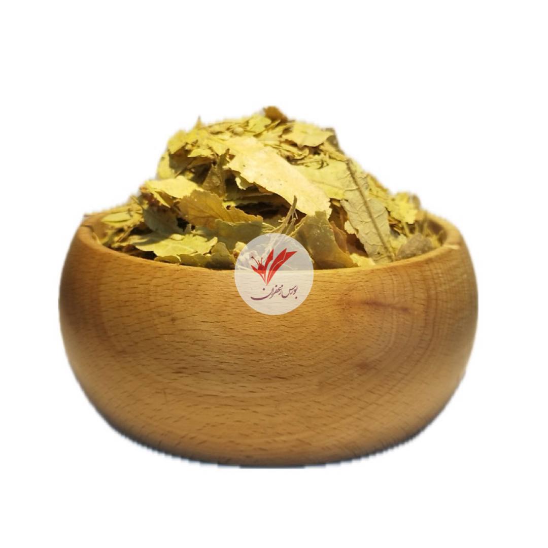 برگ تیول بلژیکی