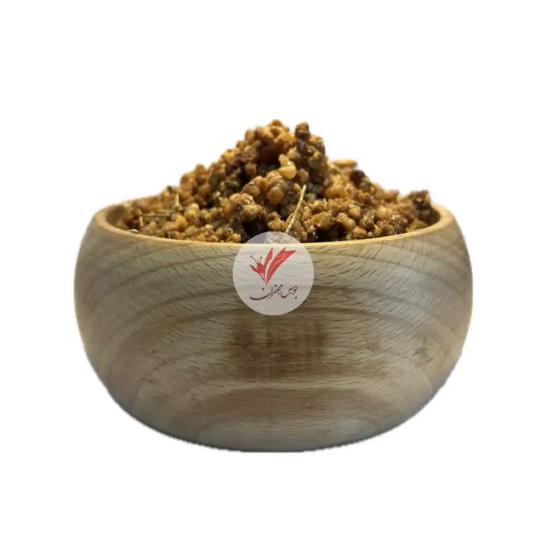 گز چکیده(گزشور، گز شاهی)
