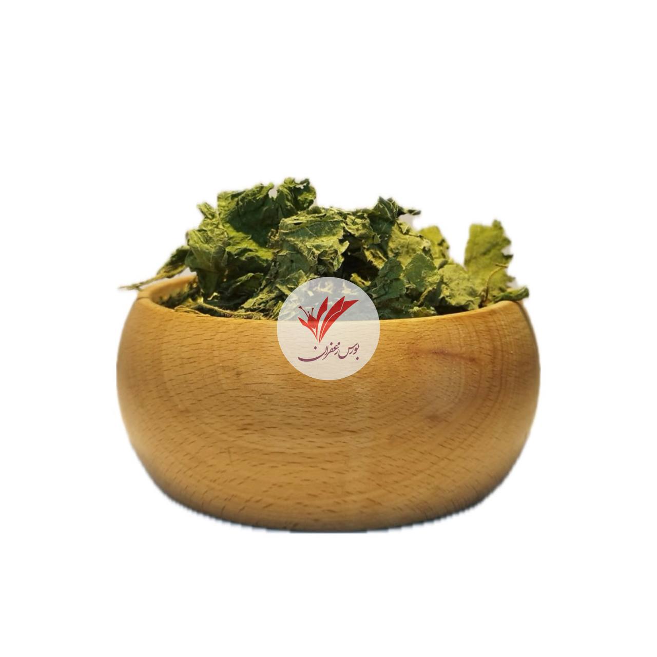 گیاه گزنه