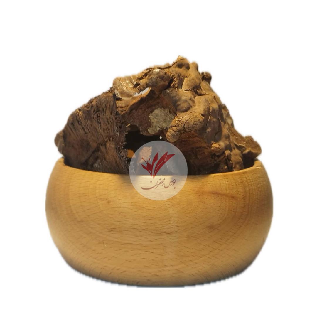 قارچ گانودرما