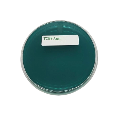 محیط کشت TCBS آگار