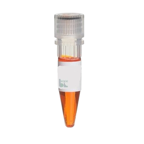 پاور لود PCR
