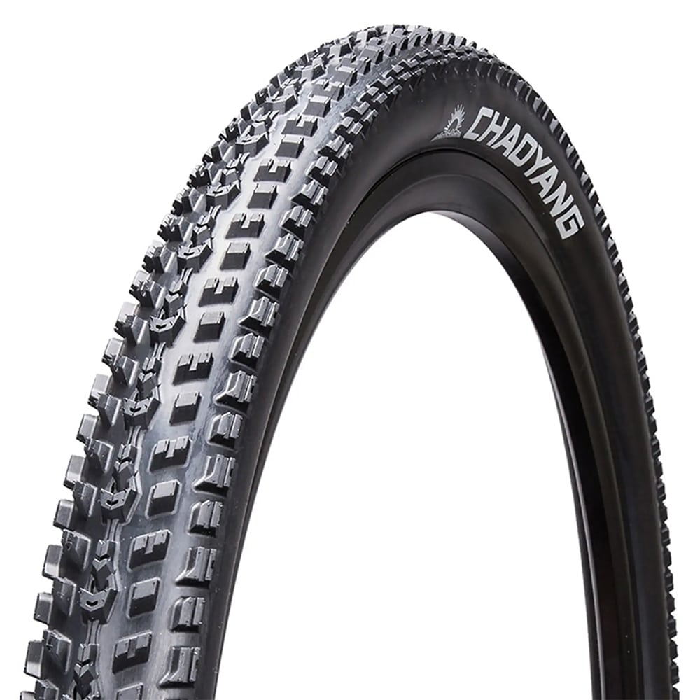 تایر تیوبلس دوچرخه 2.25×29 چائویانگ CHAOYANG FAST LANE
