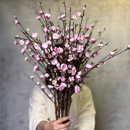 شکوفه به ژاپنی بلند