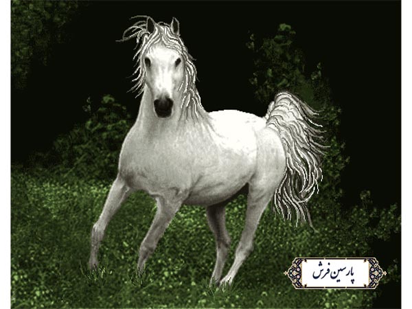 نخ و نقشه تابلو فرش طرح اسب سفید - کد NH3580