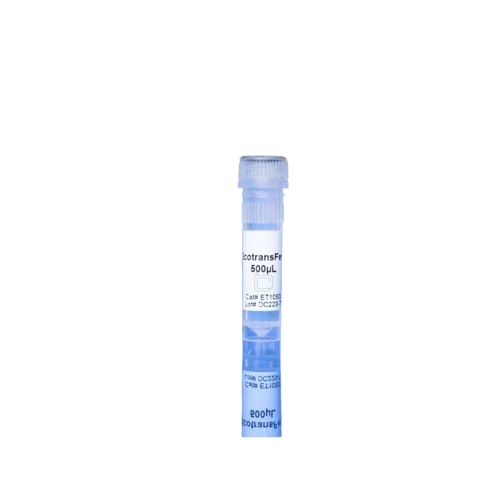 معرف ترانسفکشن EcoTransfect