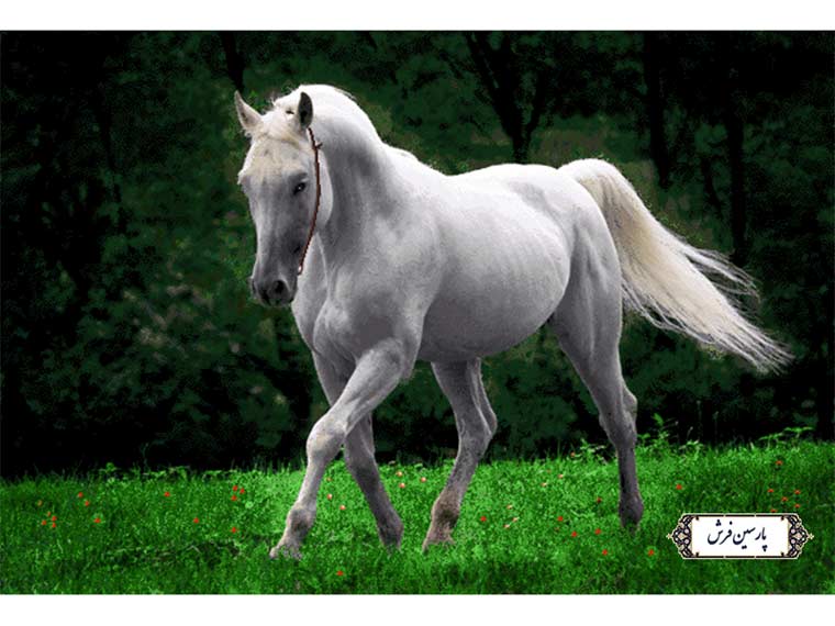 نخ و نقشه تابلو فرش دستباف اسب در چمنزار - کد NH3573