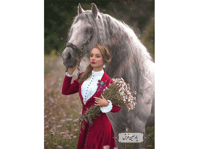 خرید نخ و نقشه تابلو فرش دختر اسب سوار - کد NC6313