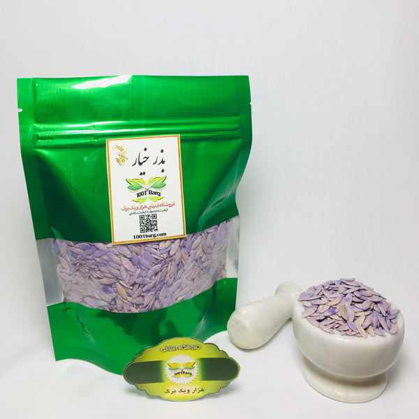بذر خیار بوته ای (بسته ۱۰۰ گرمی)