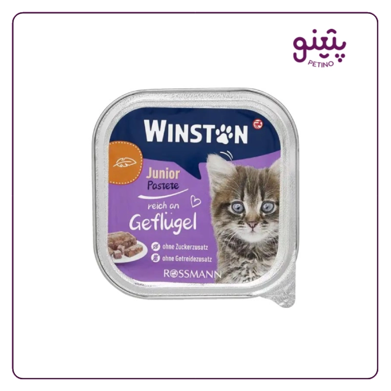 ووم بچه گربه وینستون با طعم گوشت پرنده