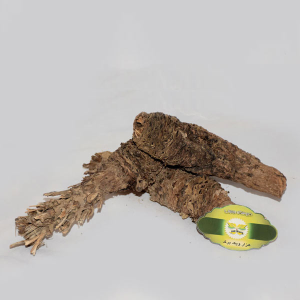 ریشه کندوش سوری(بسته 100 گرمی)