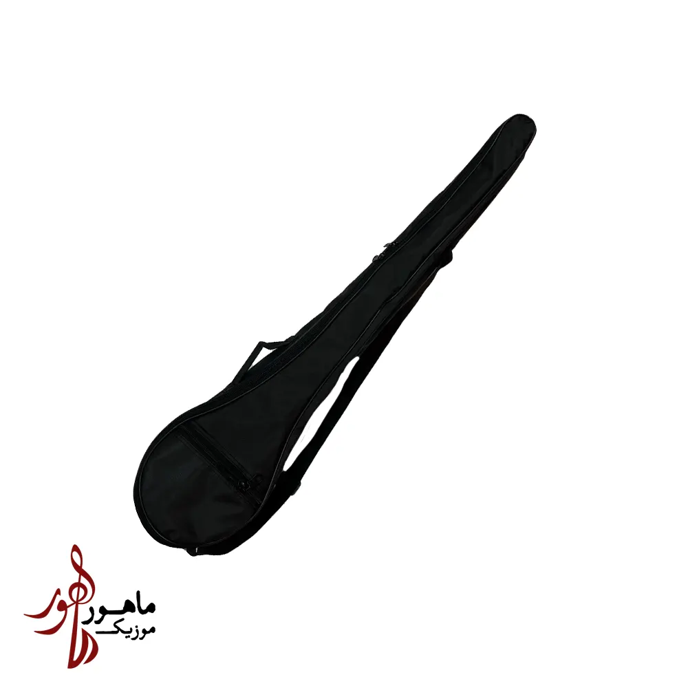 سافت کیس برزنتی سه تار
