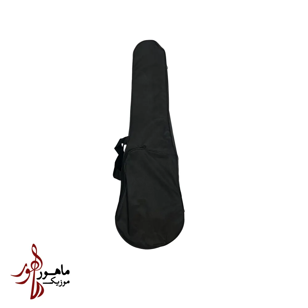 هاردکیس برزنتی ویولن