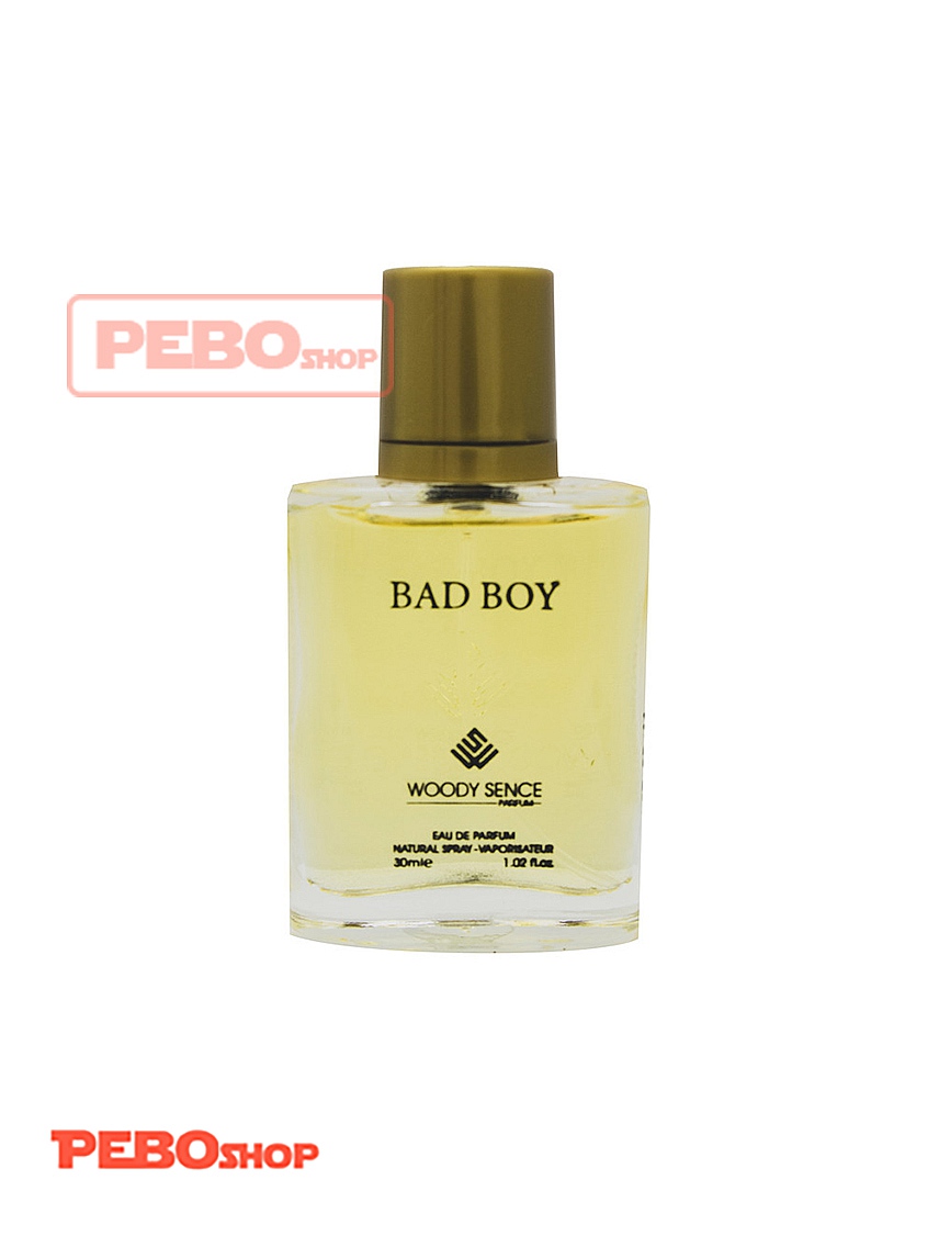 عطر جیبی مردانه وودی سنس مدل BAD BOY حجم 30 میلی لیتر