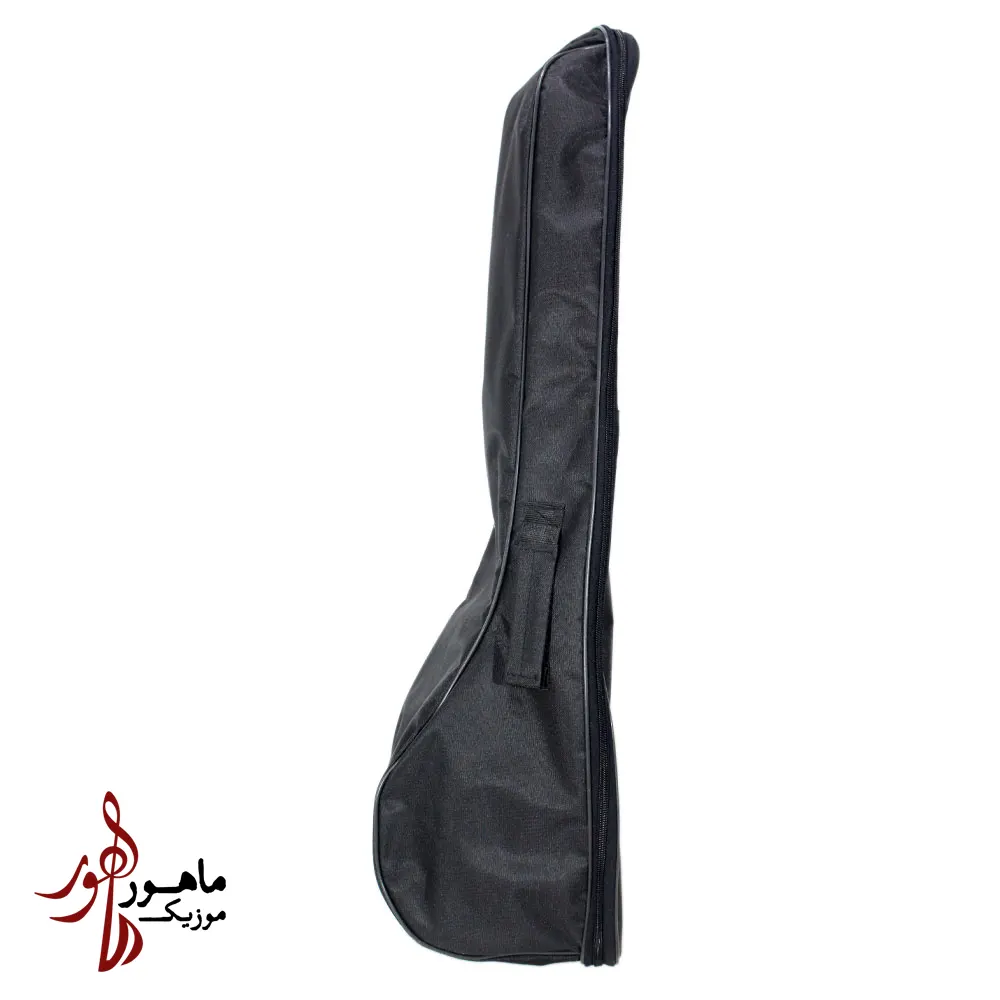 سافت کیس برزنتی کمانچه
