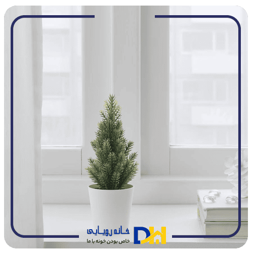بوته کاج ایکیا VINTERFINT